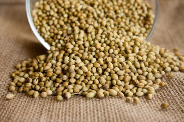 coriander, seeds, seasoning-166989.jpg